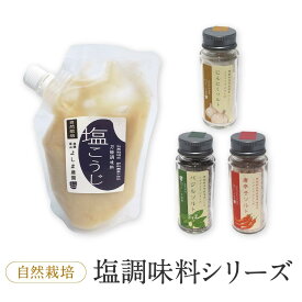 【ふるさと納税】よしま農園の自然栽培塩調味料シリーズ（バジル・唐辛子・にんにく塩／塩こうじ）| 塩 ソルト 塩麴 調味料 飛騨高山 よしま農園 CK020VP