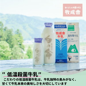 記事番号:33982/アイテムID:390248の画像