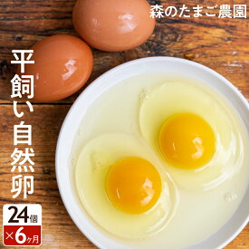 【ふるさと納税】定期便 たまご 卵 6ヶ月 24個 セット 自然卵 平飼い お取り寄せ 新鮮 ニワトリ 玉子 人気 おすすめ 岐阜 高山 送料無料 TR4366