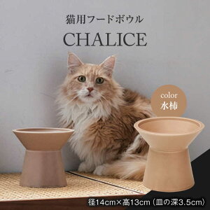 yӂ邳Ɣ[ŁzyZāz lRp t[h{E CHALICE / food bowl (mizugaki`) / &CAT t[h{E ybgp ybgpi s/AybNXn[g [TAB012]