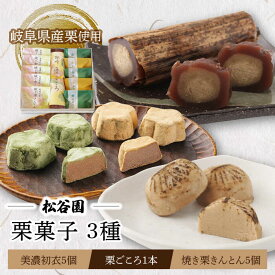 【ふるさと納税】【父の日着日指定可】 ＼和菓子 詰め合わせ／栗ごころ 1本・焼き栗きんとん 5個・美濃初衣 (きなこ 2個・抹茶 3個)【松谷園】≪多治見市≫ お菓子 スイーツ くり ギフト [TAX004]