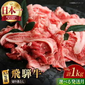【ふるさと納税】【選べる発送月・容量】 飛騨牛 A5等級 切り落とし 和牛 ブランド牛 国産 多治見市/肉の丸長 [TAZ004]