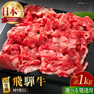 yӂ邳Ɣ[ŁzyIׂ锭Eeʁz ˋ A5 ؂藎Ƃ a uh Y s/̊ے [TAZ004]