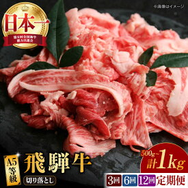 【ふるさと納税】【選べる容量・定期便回数】【飛騨牛】 切り落とし 500g〜1kg 和牛 ブランド牛 国産 多治見市/肉の丸長 [TAZ012]