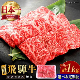 【ふるさと納税】【選べる容量・定期便回数】 飛騨牛 焼肉用 ロース・肩ロース 500g〜1kg 多治見市 / 渡辺精肉店 和牛 ブランド牛 牛肉 A5[TAZ031]