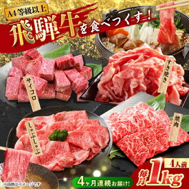 【ふるさと納税】【4回定期便】 飛騨牛を食べつくす！ 飛騨牛 プレミアム 定期便 4人前 ( しゃぶしゃぶ × すき焼き × サイコロステーキ × 焼肉 ) 各1kg A4等級以上 多治見市 / 渡辺精肉店 和牛 ブランド牛 牛肉[TAZ048]