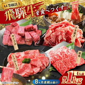 【ふるさと納税】【8回定期便】 飛騨牛を食べつくす！ 飛騨牛 プレミアム 定期便 4人前 ( しゃぶしゃぶ × すき焼き × サイコロステーキ × 焼肉 ) 各1kg A4等級以上 多治見市 / 渡辺精肉店 和牛 ブランド牛 牛肉[TAZ049]