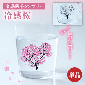 【ふるさと納税】温度で変化する器 『 冷感 桜 薄手 タンブラー 』 【丸モ高木陶器】 [TBA188]