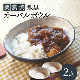 【ふるさと納税】【美濃焼】銀黒オーバルボウル2点 セット【リスの木食器工房】≪多治見市≫ 食器 皿 楕円 [TCT006]