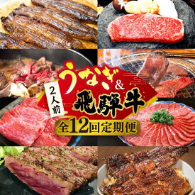 【ふるさと納税】【全12回定期便】うなぎと飛騨牛 スタミナがつん！ 贅沢 うな牛 定期便 2人前 ステーキ 鰻 高級 / 多治見市ふるさと納税 [TDA007]