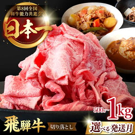 【ふるさと納税】【選べる発送月・容量】飛騨牛 切り落とし 牛肉 和牛 国産 ブランド牛 国産牛 岐阜県 多治見市 / 肉のひぐち [TDC009]