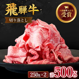 【ふるさと納税】 飛騨牛 切り落とし 500g ( 250g × 2 ) 牛肉 国産 ブランド牛 和牛 多治見市/肉のひぐち [TDC009]