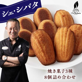 【ふるさと納税】焼き菓子 詰め合わせ 8個入 多治見市 / シェ・シバタ スイーツ ギフト 焼き菓子　ヴィジタンティーヌ　マドレーヌ [TDH008]