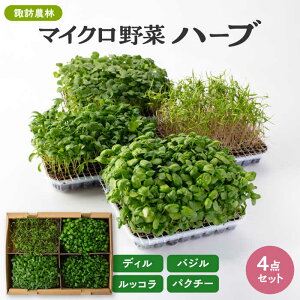 yӂ邳Ɣ[Łz}CN n[u 4_Zbgq fB pN`[ oW bR ryzK_сz[TDO004]