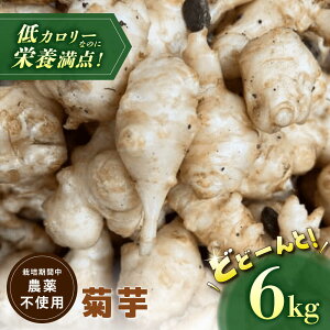 yӂ邳Ɣ[Łzy͔|Ԓ_sgpz e 6kg  LNC  s / zK_[TDO007]