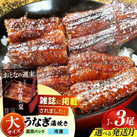 【ふるさと納税】【選べる発送月・容量】【うなぎや】 炭火焼 うなぎの蒲焼き【紀州備長炭使用】 鰻 うなぎ ウナギ 土用の丑の日 丑の日 蒲焼き 蒲焼 老舗 真空パック 特大 大 特上 送料無料 多治見市 [TFO001]