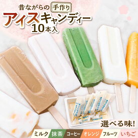 【ふるさと納税】【12/21までの決済で年内配送】【選べる6種類】手作り アイスキャンディー 10本入り 無香料 無着色 多治見市 / エイシン アイス 詰め合わせ 無添加 自家製[THD005]