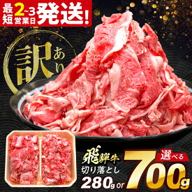 【ふるさと納税】【最短2〜3営業日発送】【選べる容量】【訳あり】飛騨牛 切り落とし 280g〜700g 多治見市 / 養老ミート 牛 牛肉 肉 国産 ブランド牛 国産牛 岐阜県 飛騨牛 牛肉 和牛 切り落とし 切り落し 肉 牛肉 すき焼き 冷凍 赤身 和牛 訳あり 訳アリ お試し[THG002]