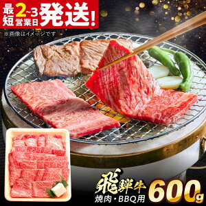 yӂ邳Ɣ[Łzˋ ē BBQp 600g s /    Y uh Y 򕌌 ˋ  a {V~[g Ⓚ [X [X Mtg[THG016]