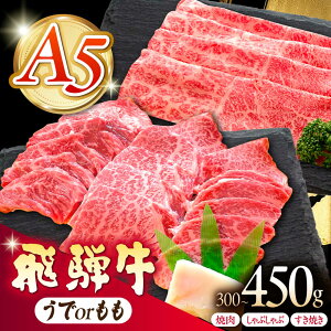 yӂ邳Ɣ[Łzs①tyIׂeʁEށz ˋ or ēp Ԃԗp Ăp 300g 450g s / ̉ A5  Mtg 蕨[THI007]