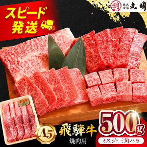 yӂ邳Ɣ[ŁzyA5z ˋ ~XWEOpo 500g ēp Jr s / ˋ̊ۖ Ⓚ a 󏭕 Ԑg ~ BBQ[THL004]