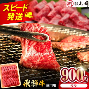 yӂ邳Ɣ[Łzˋ  900g ēp s / ˋ̊ۖ Ⓚ a Ԑg ~[THL006]