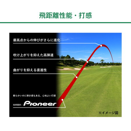【ふるさと納税】PHYZファイズゴルフボールホワイト1ダースT25-01