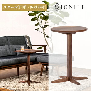 yӂ邳Ɣ[ŁzIGNITE TChe[uy~`EEHibgށz iJIG-STW196-42 PNWjی^ ؐ EH[ibg Ebh iCge[u rO Q xbg fXN  k i`