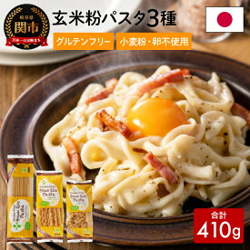 【ふるさと納税】グルテンフリー ブラウンライスパスタ 玄米粉 米粉パスタ 岐阜県産ハツシモ100% 国産 小麦粉不使用 乾麺 糖質制限 米粉麺 スパゲッティ/フジッリ/フェットチーネ 備蓄 防災食 ローリングストック用 PLUSパスタ S8 米粉パスタ G5-08