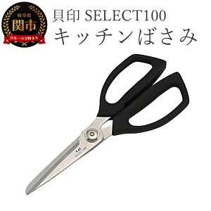 yӂ邳Ɣ[ŁzL SELECT100 Lb`΂ 000DH3005 ZNg100 Lb`͂ Lb` ֎s Lb`c[  n  ֗