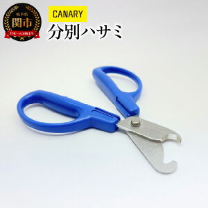 yӂ邳Ɣ[ŁzʃnT~ (BC-30H)@TCN͂ GRW[nT~ S~ ֗ vLbv KXr |  [J[ CANARY Jn Kitchen Lb`