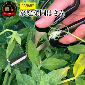 yӂ邳Ɣ[Łzƒ؉͂ (AW-165HB-E)@ƒp ƒ؉ _앨 | Eݎ ͂ 肩 t n  CANARY Li[ [J[  ͔| x_؉ ֎s 򕌌 J