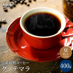 yӂ邳Ɣ[Łz R[q[ r^[`R̂悤ȍ O@e} 400gi40tj OAe}   iɂł܂j JtFA_` hN 