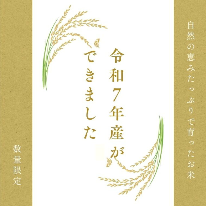 楽天市場】【ふるさと納税】【30kg 今だけ寄付額46,000円／在庫 