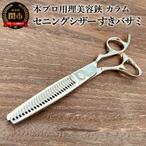 楽天市場】キラシザーの通販