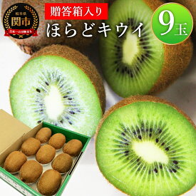【ふるさと納税】関市名産とれったひろば ほらどキウイフルーツ9玉「贈答箱入」【12月〜2月頃に順次発送】【申込期間：6月〜1月末日】