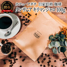 【ふるさと納税】コーヒー豆　タンザニア　キリマンジャロ　100g （約10杯分）　〜 カフェ・アダチ 自家焙煎 珈琲 コーヒー 豆 （粉にもできます） ドリンク 飲料 カフェアダチ