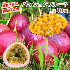 【ふるさと納税】数量限定 糖度18度 パッションフルーツ果実 10個入り 国産 くだもの 果実ビタミンC カリウム 食物繊維 栄養満点 酸味 甘い 旬のフルーツ トロピカルフルーツ 南国フルーツ【8月～10月下旬に順次発送】
