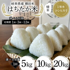 yӂ邳Ɣ[Łz_IׂeʁE񐔁^򕌌Y Ic 1ăRVqJ ͂  5kg 10kg 20kg 1 3`12 F4N-2576var