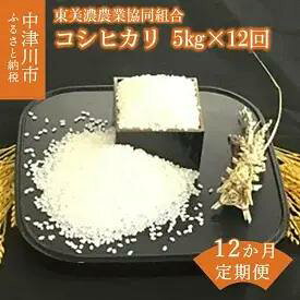 【ふるさと納税】【全12回定期便】精米したてのコシヒカリ5kg　【定期便・お米・コシヒカリ】