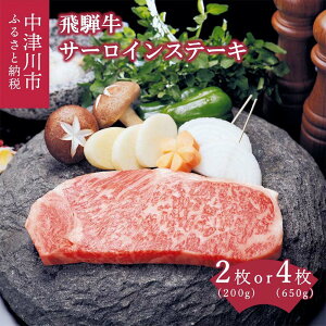 yӂ邳Ɣ[Łzˋ T[C Xe[L Iׂ (2  300g / 4  650g) y㌩z a Y Lv AEghA a LO j lC  O Ⓚ 