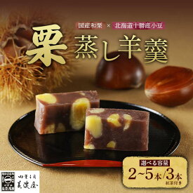 【ふるさと納税】＼選べる容量／【中津川銘菓】【栗の銘菓】御菓子司美濃屋 栗蒸し羊羹 2～5本 or 3本紅茶付き 栗羊羹 くりようかん くりむしようかん 栗蒸羊羹 羊かん 国産 栗 和栗 人気 和菓子 栗菓子 ギフト プレゼント 手土産 お取り寄せ グルメ みのや F4N-1936var