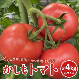 【ふるさと納税】食べて実感 濃い味かしもトマト約4Kg 東美濃農業協同組合【期間限定　選果場直送！】 F4N-1265