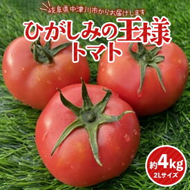 【ふるさと納税】赤熟もぎりのひがしみの王様トマト約4Kg 東美濃農業協同組合【期間限定　選果場直送！】 F4N-1266