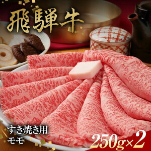 【ふるさと納税】飛騨牛 すきやき用 モモ肉 250g×2 赤身 鍋 スライス肉 F4N-1638