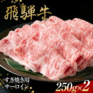 yӂ邳Ɣ[Łzˋ ₫p T[C 250g×2 Ԑg  XCX F4N-1639