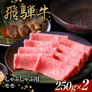 yӂ邳Ɣ[Łzˋ Ԃԗp  250g×2 Ԑg  XCX F4N-1640