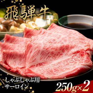 yӂ邳Ɣ[Łzˋ Ԃԗp T[C 250g×2 Ԑg  XCX F4N-1641
