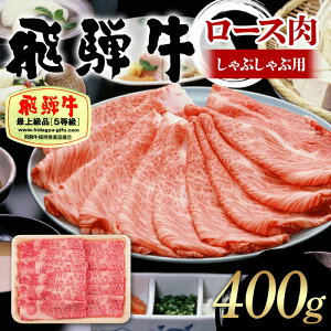 yӂ邳Ɣ[Łzˋ A5 [X Ԃԗp 400g   [X Ԃ ~  F4N-1684