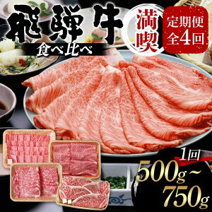 【ふるさと納税】\選べる種類と容量/飛騨牛 定期便 全4回 食べ比べ (A5等級 200g 満喫 300g〜400g 満喫 500g〜750g) F4N-1694var